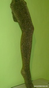 carape-hulahop-bronzane i srebrne